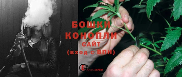 стафф Вязьма
