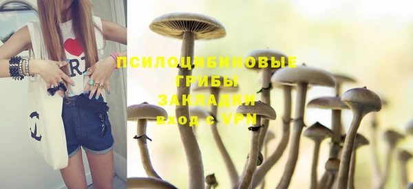 стаф Волоколамск
