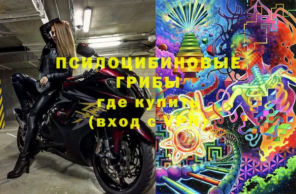 стаф Волоколамск
