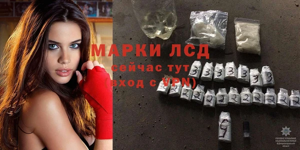 стафф Вязьма