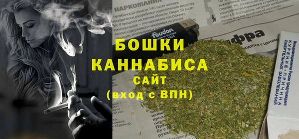 СК Волосово