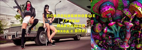 стаф Волоколамск